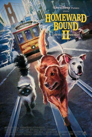 Homeward Bound II: Lost in San Francisco (1996) - poster