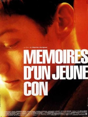Mémoires d'un Jeune Con (1996) - poster