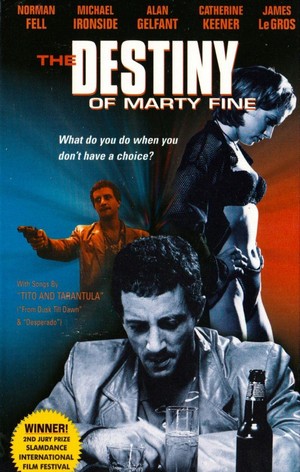 The Destiny of Marty Fine (1996) - poster
