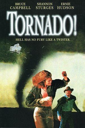 Tornado! (1996) - poster