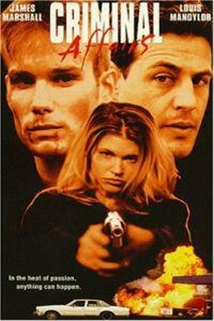 Criminal Affairs (1997) - poster