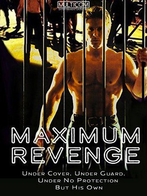 Maximum Revenge (1997) - poster