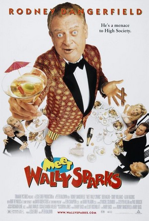 Meet Wally Sparks (1997) - poster