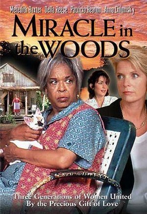 Miracle in the Woods (1997) - poster