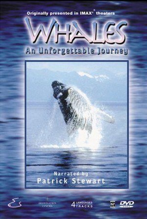 Whales: An Unforgettable Journey (1997) - poster