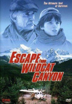 Escape from Wildcat Canyon (1998) - poster