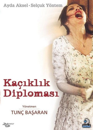 Kaçiklik Diplomasi (1998) - poster