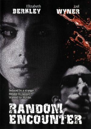 Random Encounter (1998) - poster