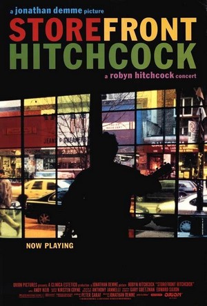 Storefront Hitchcock (1998) - poster