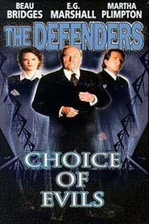 The Defenders: Choice of Evils (1998) - poster