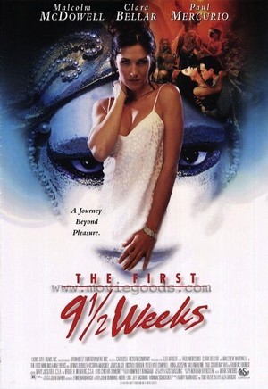 The First 9 1/2 Weeks (1998) - poster