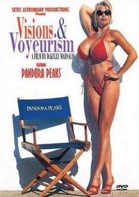 Visions and Voyeurism (1998) - poster