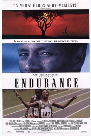 Endurance (1999) - poster