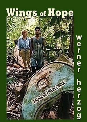 Julianes Sturz in den Dschungel (1999) - poster