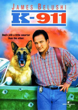 K-911 (1999) - poster