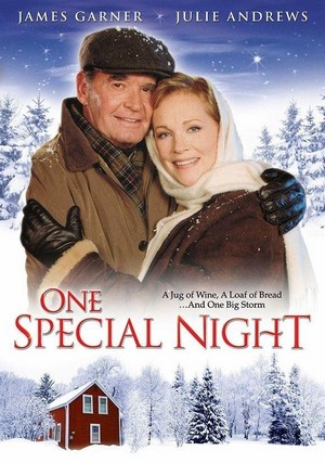 One Special Night (1999) - poster
