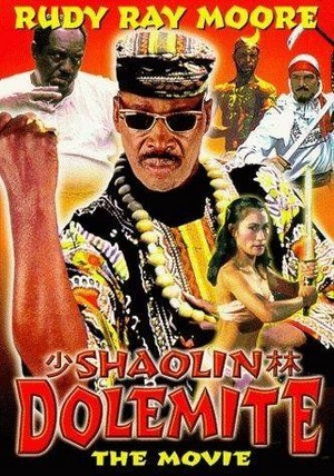 Shaolin Dolemite (1999) - poster