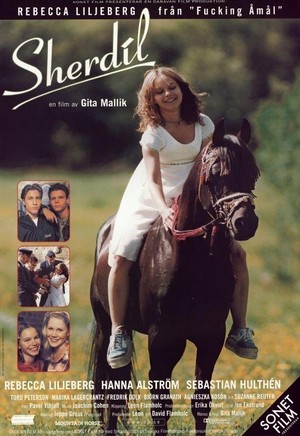 Sherdil (1999) - poster