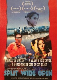 Split Wide Open (1999) - poster