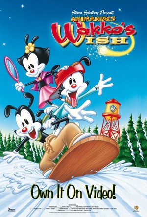 Wakko's Wish (1999) - poster