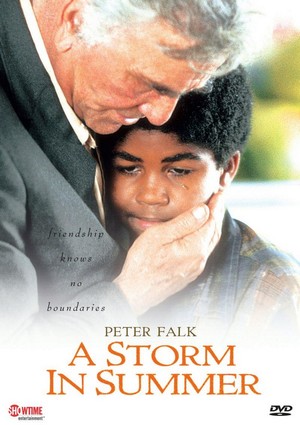 A Storm in Summer (2000) - poster