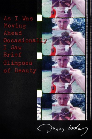 As I Was Moving Ahead Occasionally I Saw Brief Glimpses of Beauty (2000) - poster