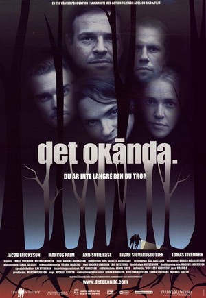 Det Okända. (2000) - poster