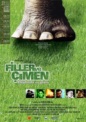 Filler ve Çimen (2000) - poster