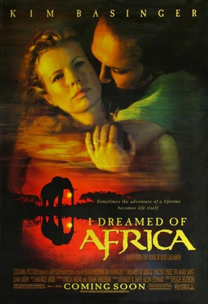 I Dreamed of Africa (2000) - poster