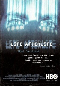 Life Afterlife (2000) - poster