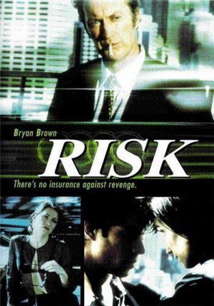 Risk (2000) - poster