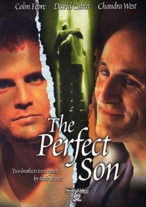 The Perfect Son (2000) - poster
