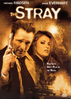 The Stray (2000) - poster