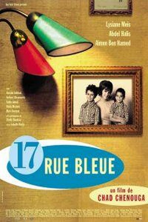 17 Rue Bleue (2001) - poster