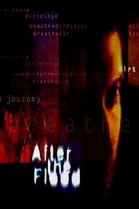 After the Flood (2001) - poster