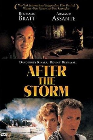 After the Storm (2001) - poster