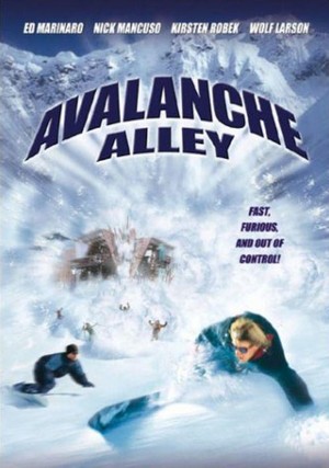 Avalanche Alley (2001) - poster