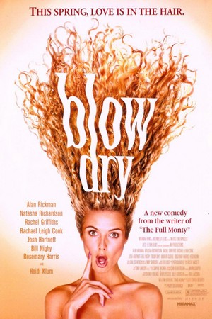 Blow Dry (2001) - poster