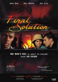 Final Solution (2001) - poster