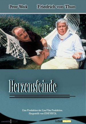 Herzensfeinde (2001) - poster