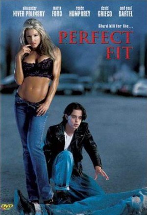 Perfect Fit (2001) - poster