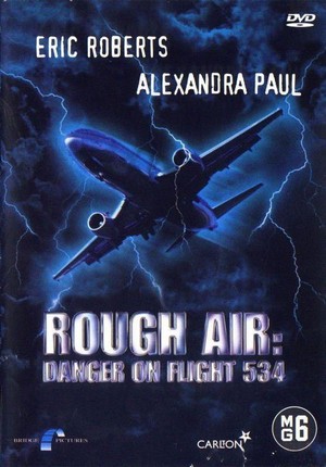 Rough Air: Danger on Flight 534 (2001) - poster