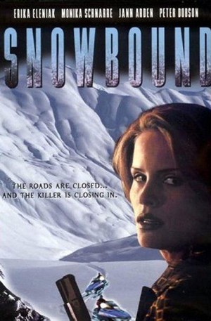 Snowbound (2001) - poster