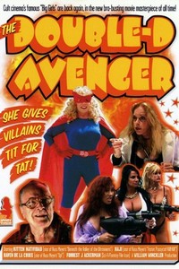 The Double-D Avenger (2001) - poster