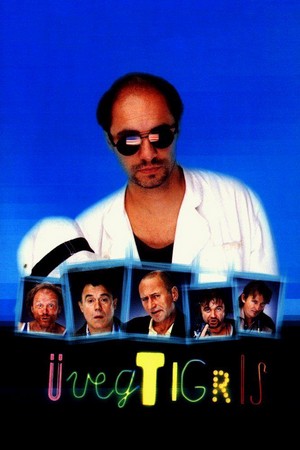 Üvegtigris (2001) - poster