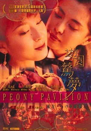 You Yuan Jing Meng (2001) - poster