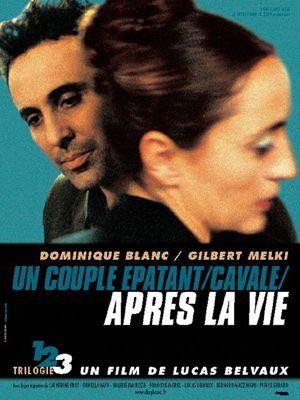 Après la Vie (2002) - poster