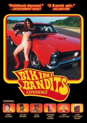 Bikini Bandits (2002) - poster