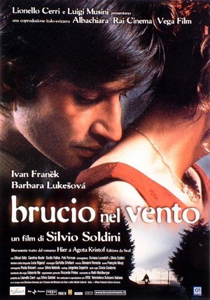 Brucio nel Vento (2002) - poster