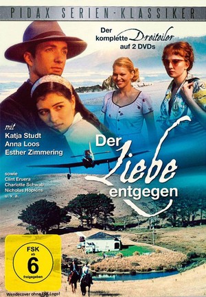 Der Liebe Entgegen (2002) - poster